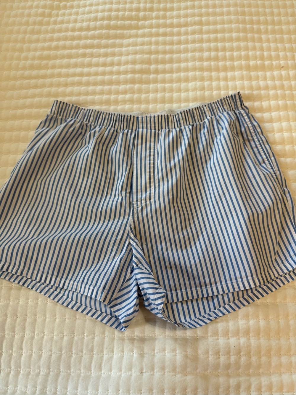 Trending Style J. Crew Blue and White Striped Boxer Briefs